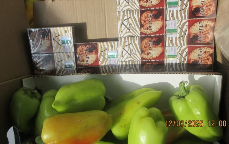 Предотвращена крупная контрабанда сигарет на границе Латвии и Беларуси