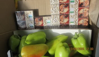 Предотвращена крупная контрабанда сигарет на границе Латвии и Беларуси