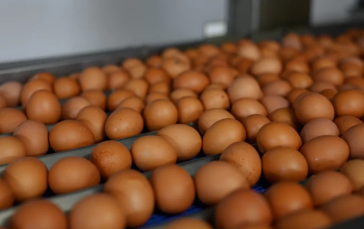 Снижение НДС: влияние на бюджет и обсуждение расширения списка товаров Снижение НДС: влияние на бюджет и обсуждение расширения списка товаров