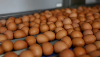 Снижение НДС: влияние на бюджет и обсуждение расширения списка товаров