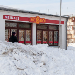 Vesko, Sesava, ZEMGALES IELA 13