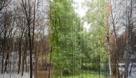 Фото состоит из 365 фрагментов, каждый из которых соответствует одному дню года