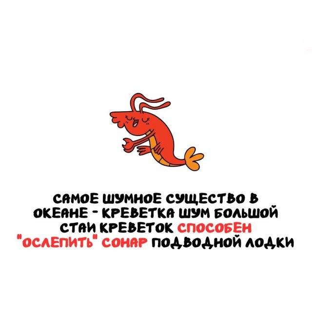 1e23b26a