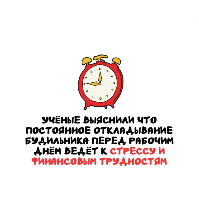 93955319