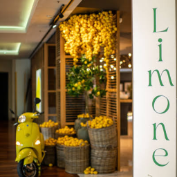 Limone , RIGA, DZIRNAVU IELA 67 Limone , RIGA, DZIRNAVU IELA 67