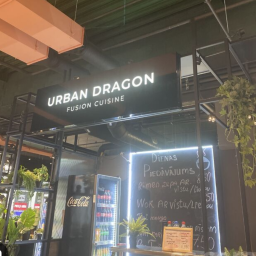 Urban dragon Riga, AUDEJU IELA 16
