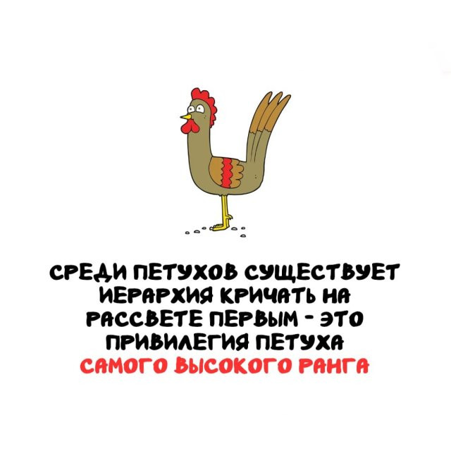 1a72480d