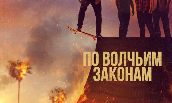 По волчьим законам (2016)